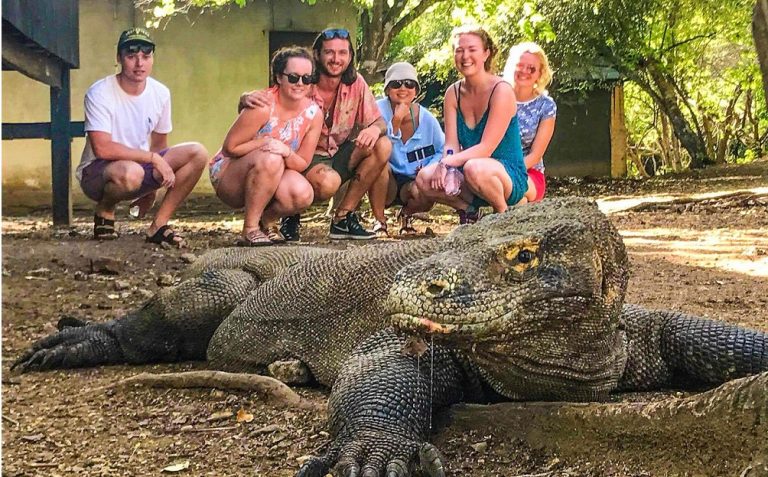 12 Safety Tips Near Komodo Dragons