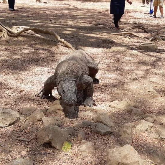 WhatsApp Image 2024-03-25 at 16.05.30