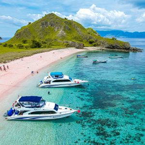 Pink Beach Komodo